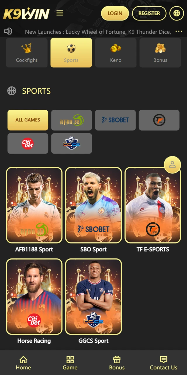 Choose your favorite sport and place bets on it in the K9Win casino mobile app.