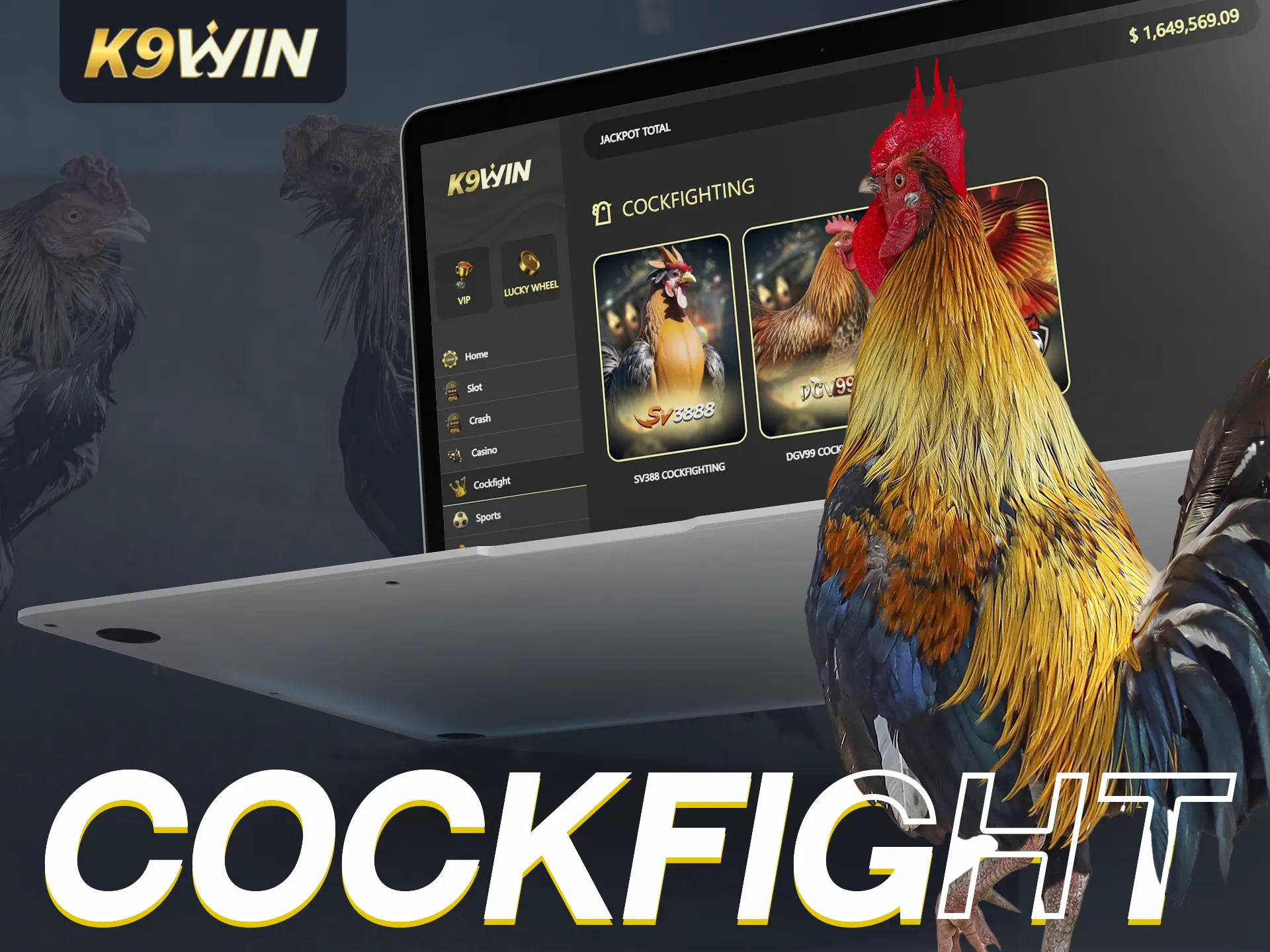 K9win offers exciting cockfight betting with live streams.