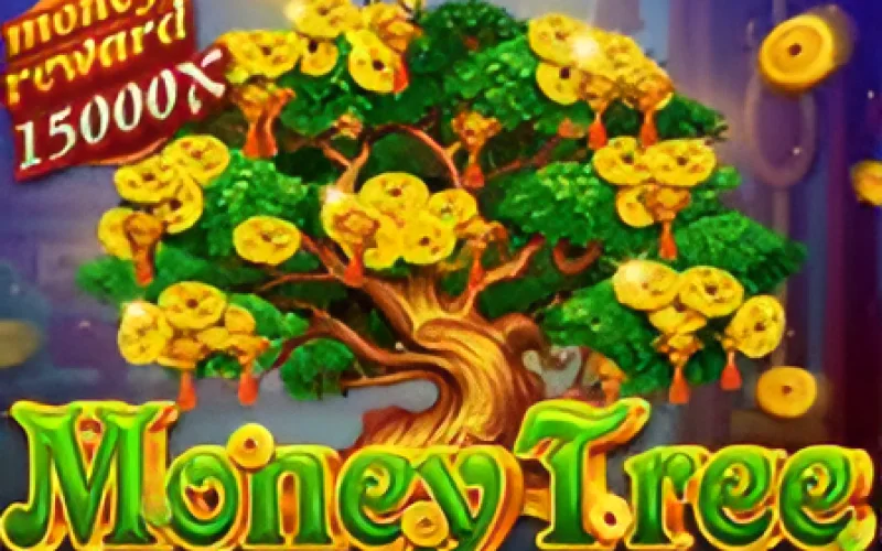 Watch your fortune blossom in Money Tree at K9Win.